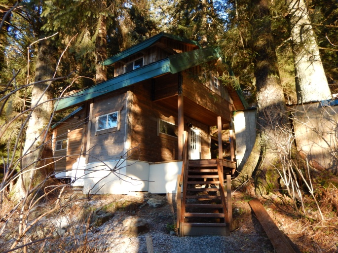Our cabin on the edge of Tongass National Forest in Juneau